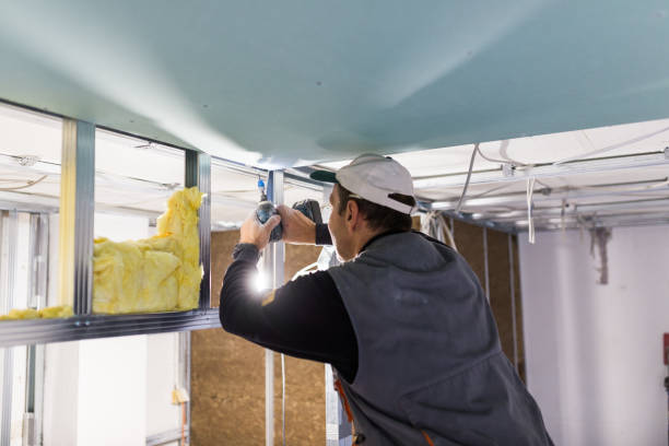 Best Residential Insulation in Lost Hills, CA