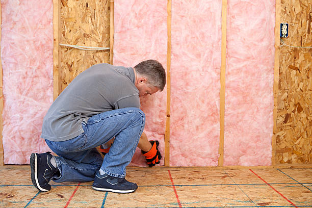 Best Insulation for Specific Applications in Lost Hills, CA